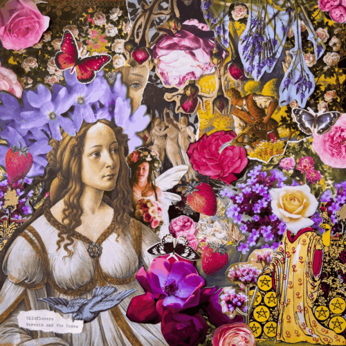 Wildflowers by Vervain and the Roses (album cover)